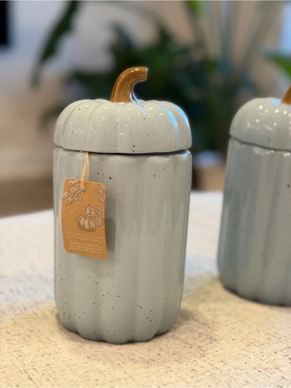 10 Strawberry Street Rare Blue Pumpkin Canisters Set of 2
